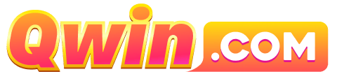 qwin logo